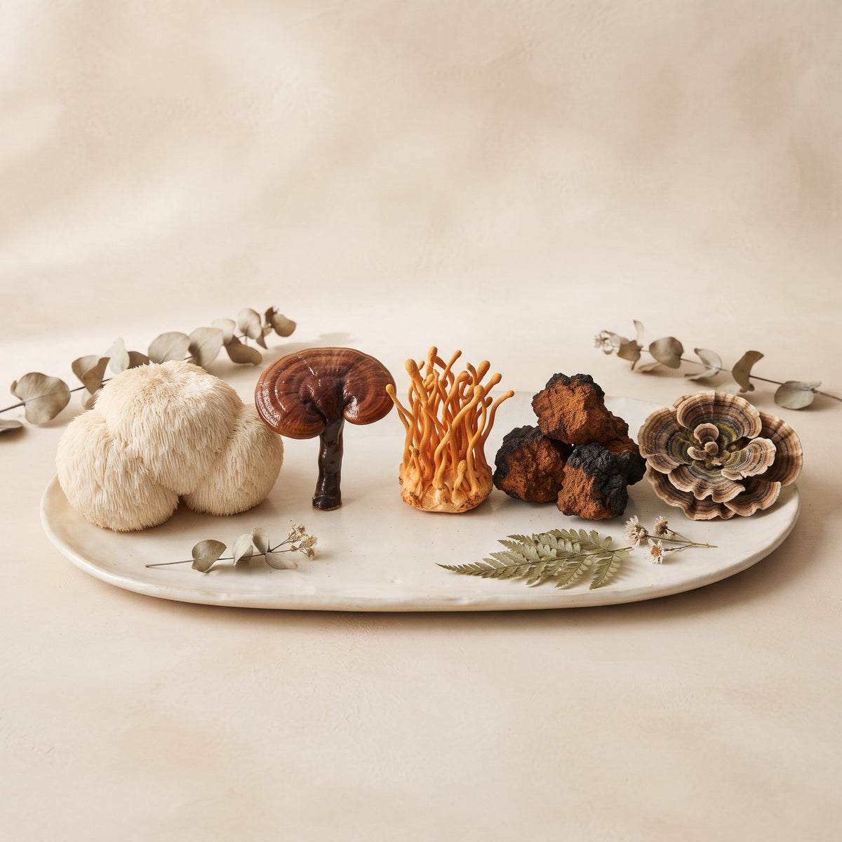 Mushroom Wellness