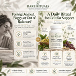 Cellular Renewal NAD+ Complex (with Quercetin & Resveratrol)