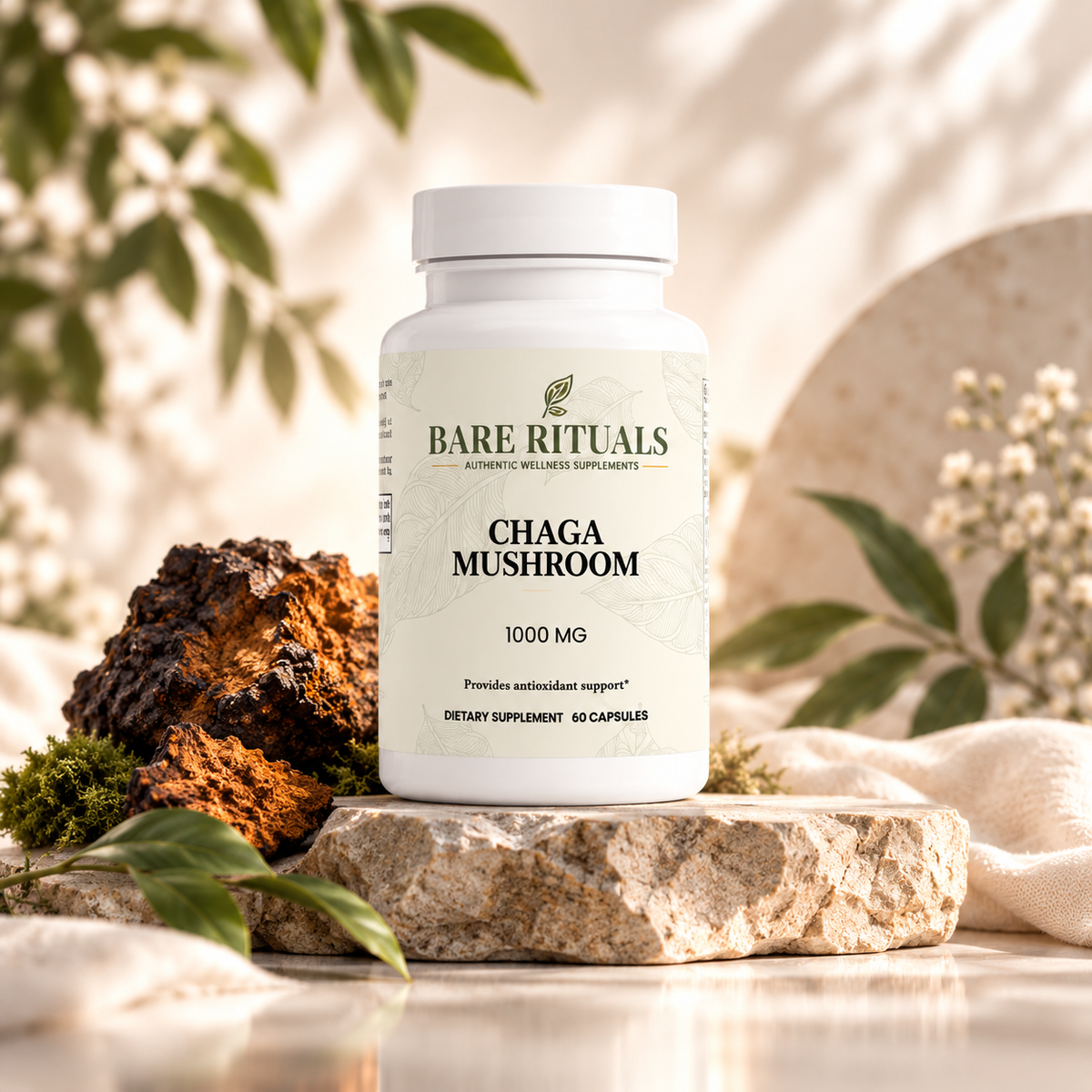 Chaga Mushroom