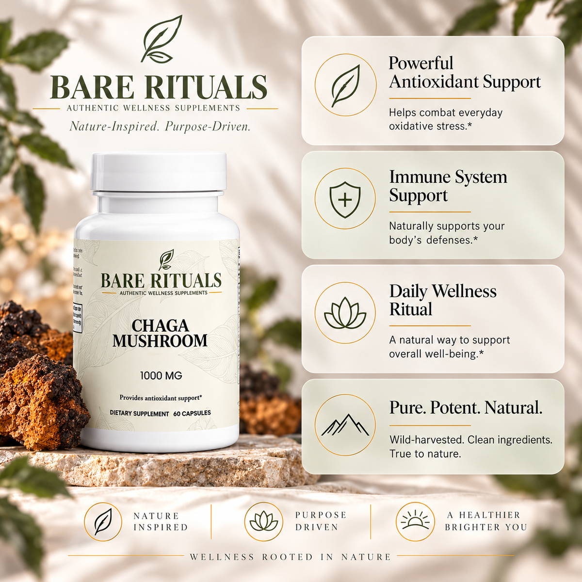 Chaga Mushroom