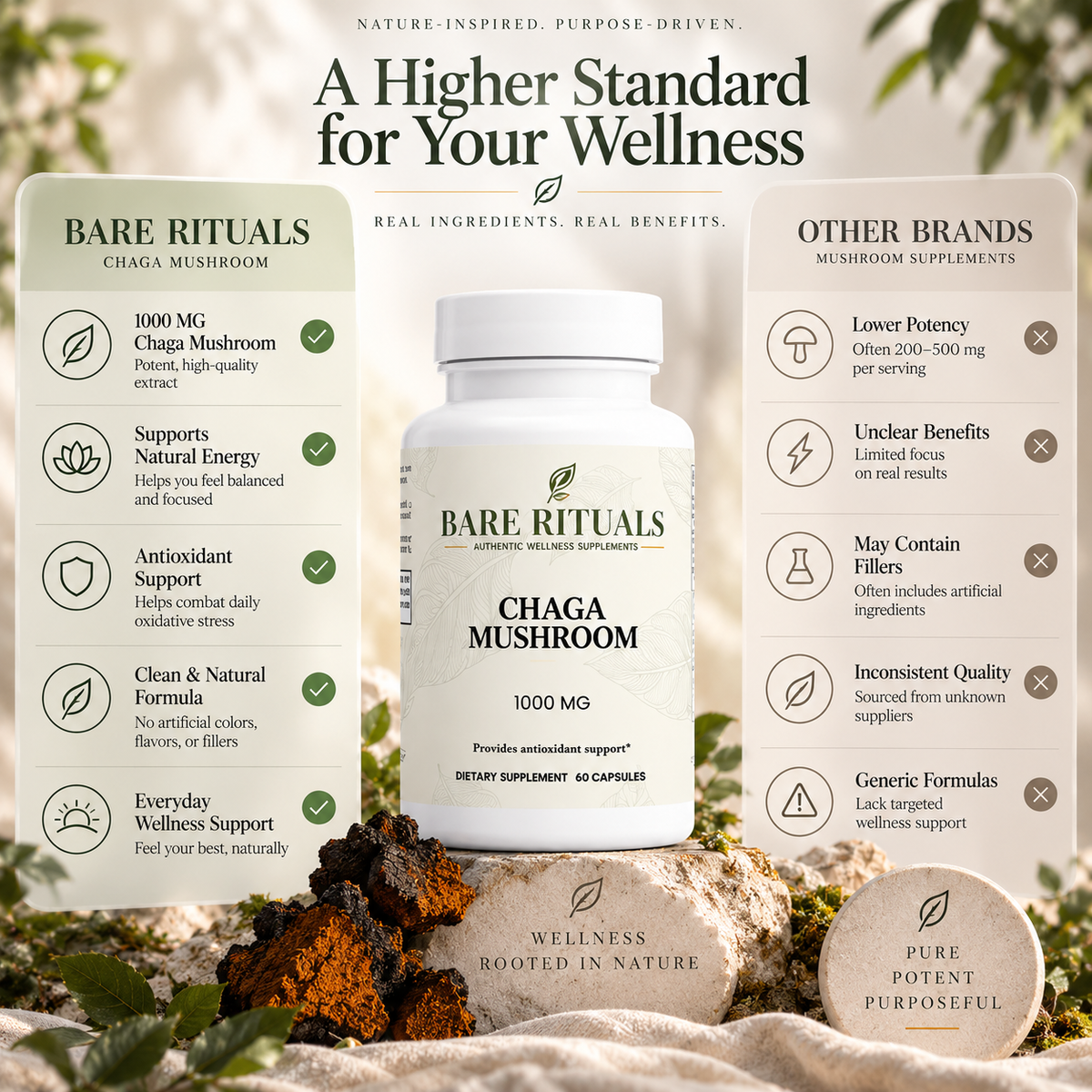 Chaga Mushroom