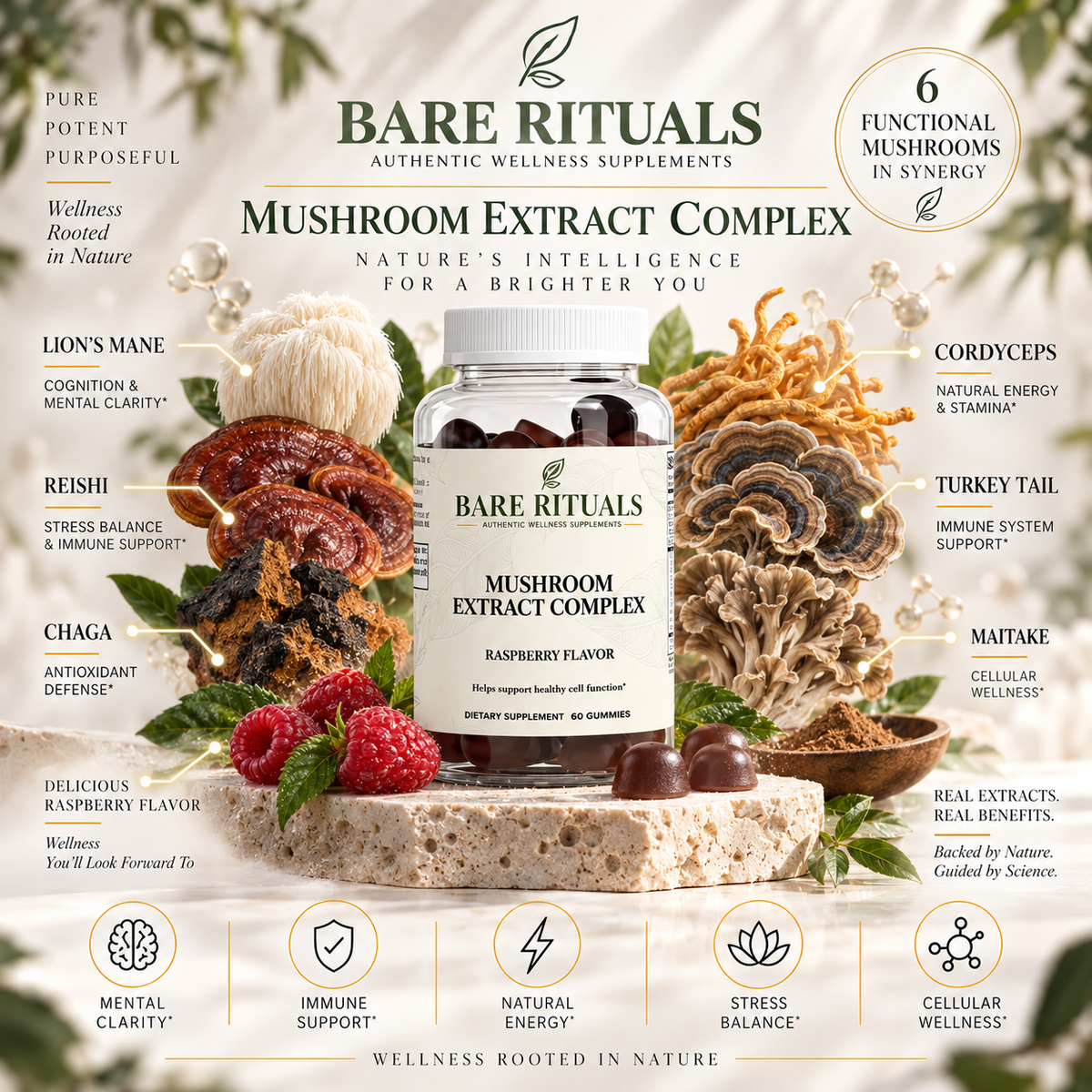 Mushroom Extract Complex