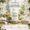 Probiotic 40 Billion with Prebiotics