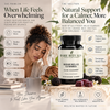 Reishi Relax Gummies