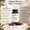 Reishi Relax Gummies