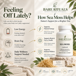Sea Moss
